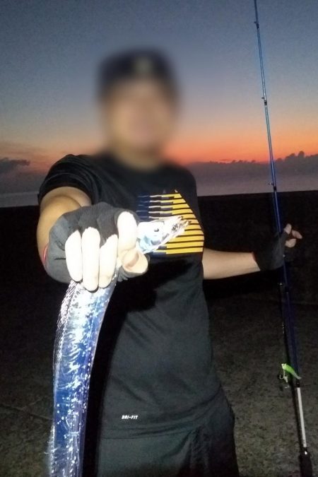 初タチウオ爆裂